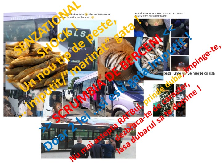 duba - scrumbia de berceni