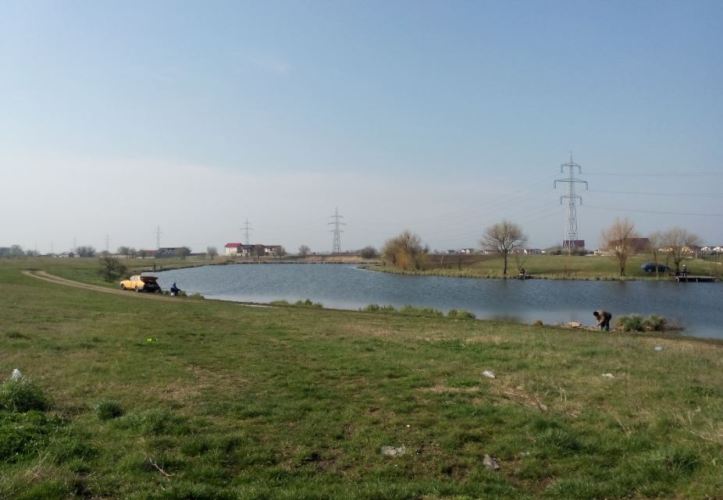 delta berceniului