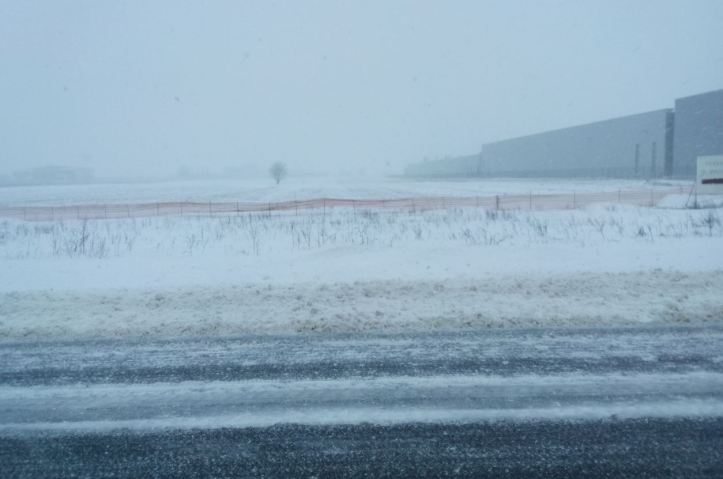 2018 02 20 - mizerie - 3 carpe si paie pe post de parazapezi